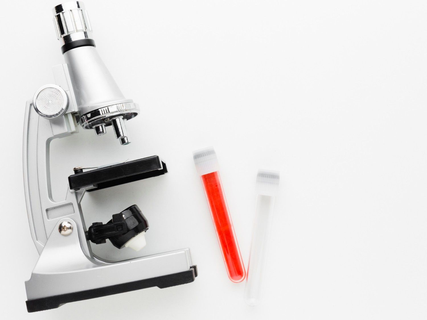 pediatrician in rudrapur